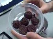 Quick Chocolate Macaroons